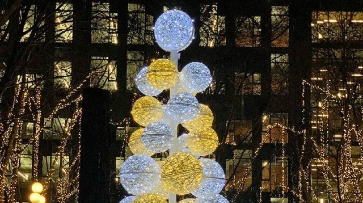 Downtown Holiday Lights at Occidental Square Seattle Area Family Fun